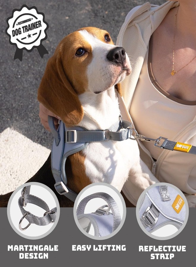 DF No Pull Martingale Dog Harness and Leash Set Silent Metal Buckle, Front Clip Reflective Harness, Adjustable Fit & Handle for Easy Walking & Training, Gray, 3/4", Front Chest 11.8"-13.0" - Image 2